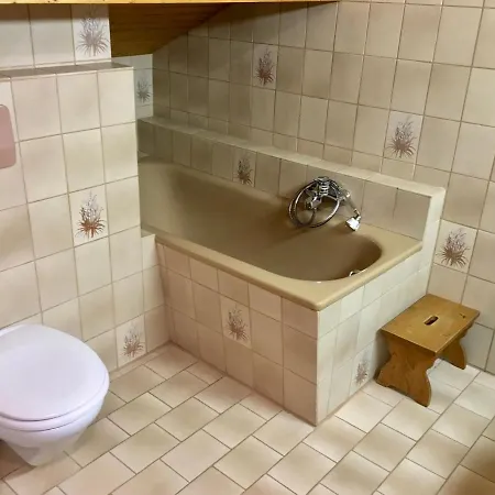 Apartment Am Chiemsee Ubersee