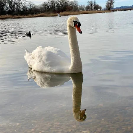 Am Chiemsee * Übersee