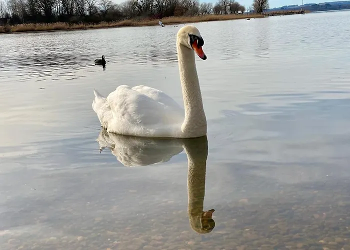 Am Chiemsee * Übersee